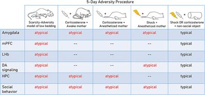 Rodent models of early adversity: Impacts on developing social behavior circuitry and clinical implications